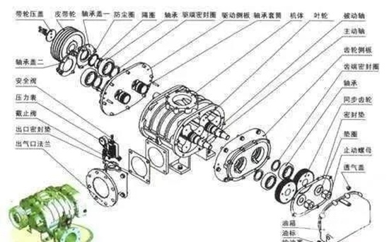 羅茨鼓風(fēng)機原理及結構圖文